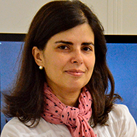 Foto do Professor Helena Maria Afonso Jacob